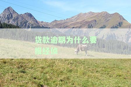 贷款逾期经侦打电话：如何应对与处理？