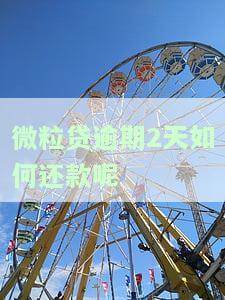 微粒贷逾期2天会怎样？影响及解决办法全解析！