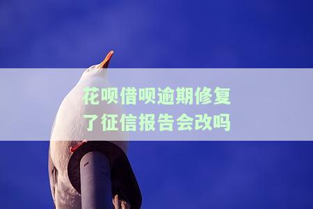 花呗借呗逾期修复了征信报告会改变吗？逾期后如何修复？额度会恢复吗？