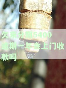 来分期逾期5000一年了，被告会是真的吗？逾期一年多了6000块会被起诉吗？