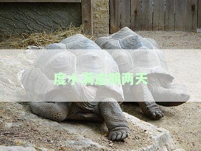 度小满逾期两天会影响借款吗？一天还款会有后果吗？
