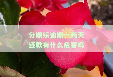 分期乐逾期两天后还款会影响征信吗？逾期后果及后续使用解析