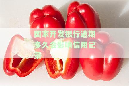 国家开发银行还款逾期两天会否影响征信记录？
