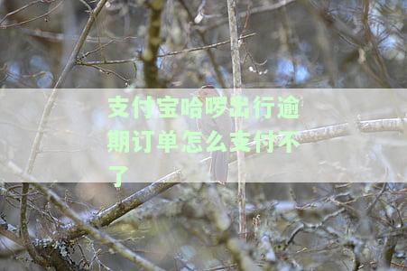 支付宝哈啰出行逾期订单怎么支付不了-支付宝哈啰出行逾期订单怎么支付不了了
