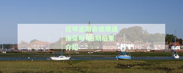 还呗逾期多久会打电话给通讯录？协商还款、宽限期及避免爆通讯录方法全解析