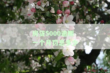 房贷5000逾期一个月罚息多少