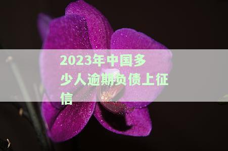 2023年中国有多少人逾期负债上征信？历年数据对比分析