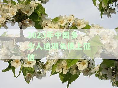 2023年中国多少人逾期负债上征信
