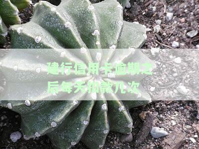 建行信用卡逾期后每天扣款几次？对信用有何影响？是否会自动扣款？