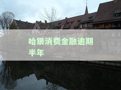 哈银消费金融逾期半年会带来什么后果？逾期三个月、几天又会产生哪些影响？如何应对逾期情况？