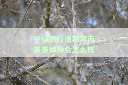 中信银行逾期不到八千，真要立案起诉？欠款3000元逾期6个月会被告吗？