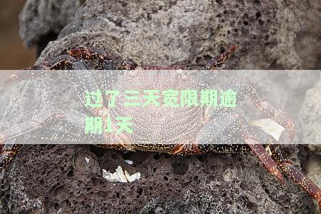 2023年信用卡逾期新政策：信用卡过了三天忘还了？别慌！教你如何补救与避免列入失信人名单
