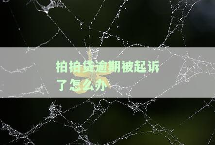 拍拍贷逾期16500元被起诉是真的吗？会抓人吗？逾期未还会有什么后果？