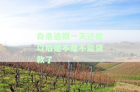 白条逾期一天还款后是否还能正常使用？影响征信吗？