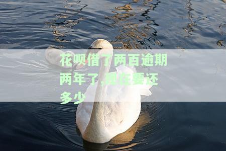 花呗借了两百逾期两年，现在应还多少利息？已还款2000多