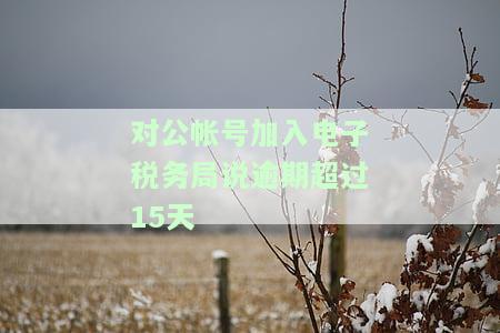 对公帐号加入电子税务局说逾期超过15天-电子税务局显示逾期申报是怎么回事