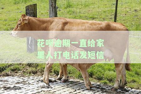 花呗逾期打电话告知亲朋友算违法吗？可能侵犯隐私权