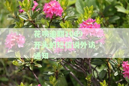 10690749花呗发来短信：起诉、扣款薪资命令书，严重逾期要求还全款