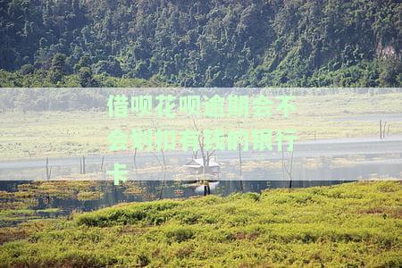 借呗、花呗逾期后会在蓄账户中扣款吗？即使按时还其他账单，借呗仍可能被冻结