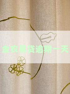金农易贷逾期一天如何处理？逾期一天无法还款，拉征信风险大