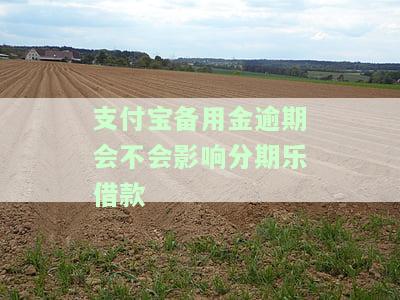 支付宝备用金逾期会否影响个人征信？全解析
