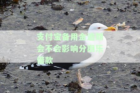 支付宝备用金逾期会不会影响分期乐借款-支付宝备用金逾期会影响其他平台贷款么