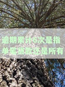 逾期累计6次是什么意思？影响严重吗？该如何解决？