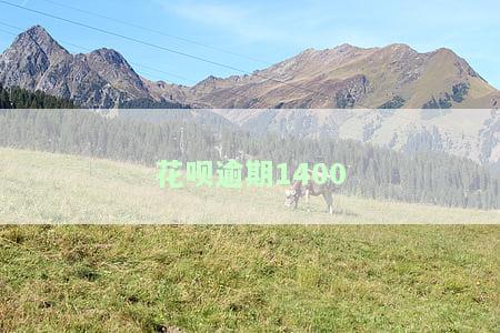 花呗逾期1400-花呗逾期1400多块钱,会不会被起诉