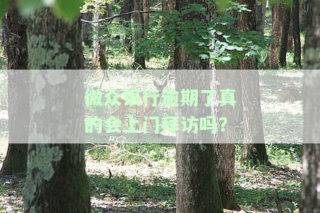 微众银行借钱逾期了，工作人员会加你微信吗？真的吗？安全吗？借款账单会推送给微信好友吗？