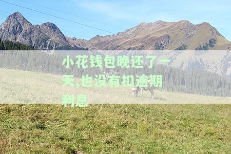 小花钱包晚还一天，未扣逾期利息？会影响征信吗？