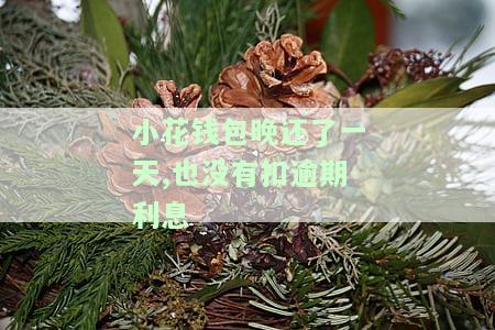 小花钱包一天还款会联系谁？最新状况、是否上征信及天数全解析