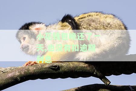 小花钱包晚还了一天,也没有扣逾期利息