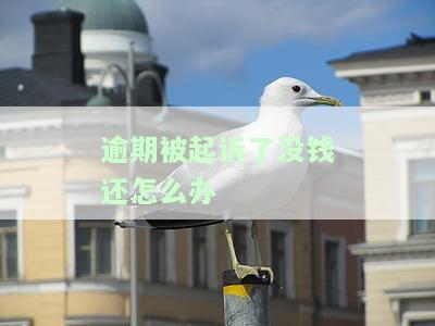逾期被起诉了没钱还怎么办-网贷逾期被起诉了没钱还怎么办