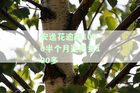 安逸花逾期1000半月违约金100多是否正常？逾期处理方法及法律责任解析