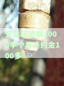安逸花逾期1000半月违约金100多，是否真实？已还款2000多，逾期多久会被起诉？