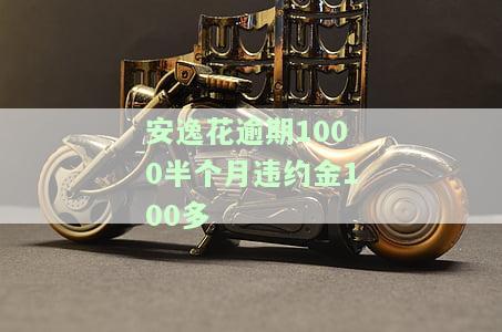 安逸花逾期一个月后能否再次借款？会影响信用卡使用吗？被起诉立案是真吗？逾期后仍有资金可取出吗？