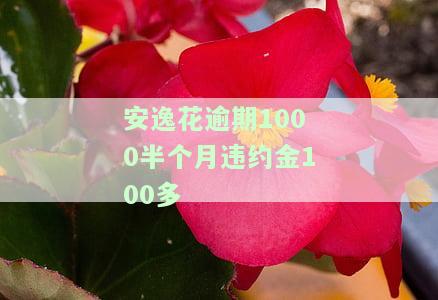 安逸花逾期一个多月未还，剩余资金能否取出？逾期是否影响信用卡使用及再次借款？真被起诉立案？逾期半月还款后能否取出现金？