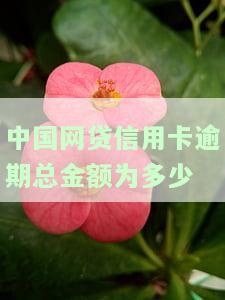 中国网贷信用卡逾期总金额及人数统计：2020年逾期情况分析
