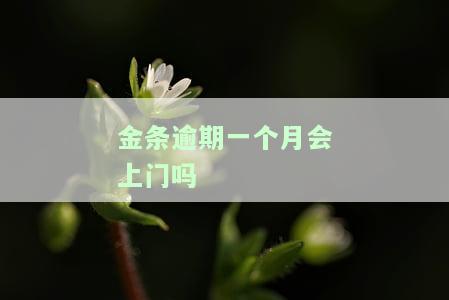 金条逾期一个月是否会上征信？影响大吗？