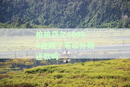 拍拍贷欠一万一逾期一年会否上门催收？