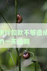 银行扣款不够造成的一天逾期