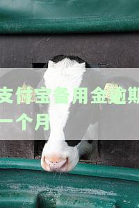 支付宝备用金逾期一个月
