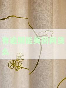 美团逾期后还能申请信用卡吗？影响及解决方案全解析