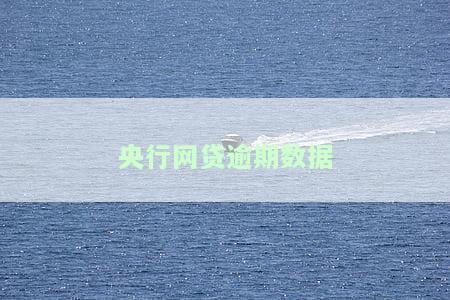 央行网贷逾期数据分析报告及统计图表