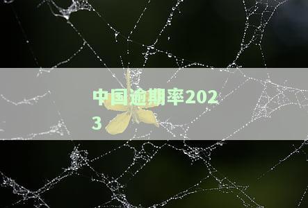 中国逾期率2023-中国逾期率2022