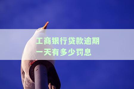 工商银行贷款一天还款补救办法及影响解析