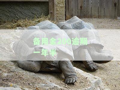备用金200逾期一年半能否继续使用？影响及还款金额解析