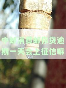 中邮消费邮你贷：是否上征信？好下款吗？属于网贷吗？可靠吗？利息高吗？