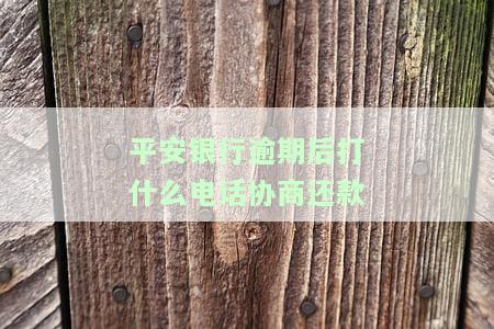 平安银行逾期能否向客服说明欠款及处理方式？