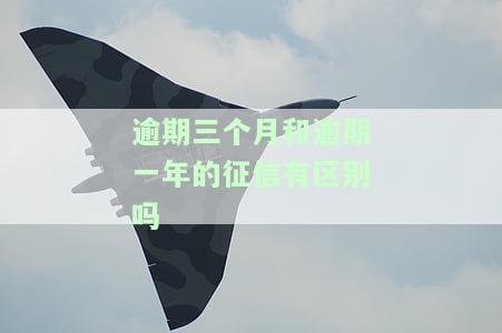 逾期三个月与逾期一年的征信有何区别？如何查询逾期3个月的征信？